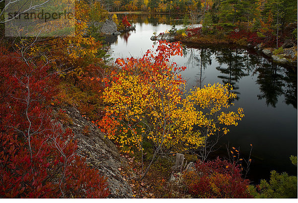 Herbstfarben am Three Mile Lake  Nova Scotia