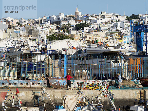 Fischerboote im Hafen mit weiß getünchten Gebäuden am Hang; Tanger  Marokko'.