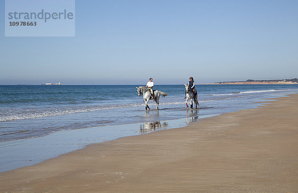 Reiten am Strand am Rande des Wassers; Chiclana de la Frontera  Andalusien  Spanien'.