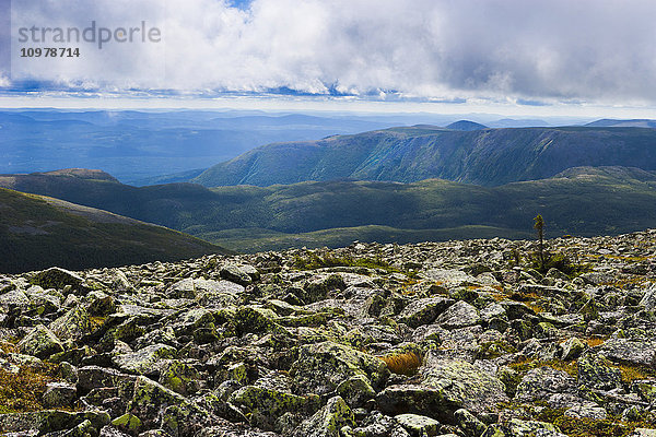 Blick vom Gipfel des Mont Jacques-Cartier  Gaspesie National Park; Quebec  Kanada'.