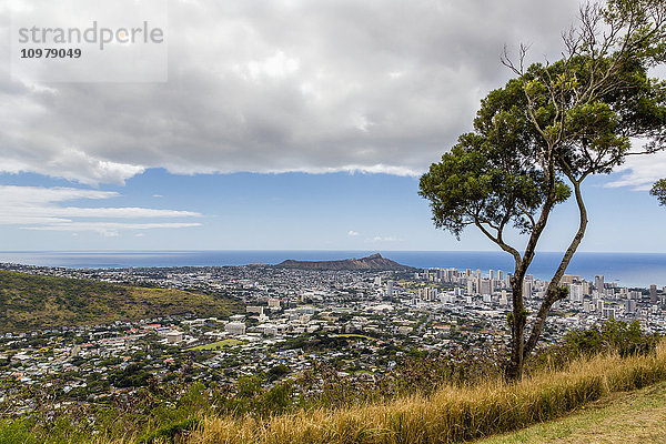 Downtown Honolulu und Diamond Head mit einem Baum im Vordergrund; Honolulu  Oahu  Hawaii  Vereinigte Staaten von Amerika'.