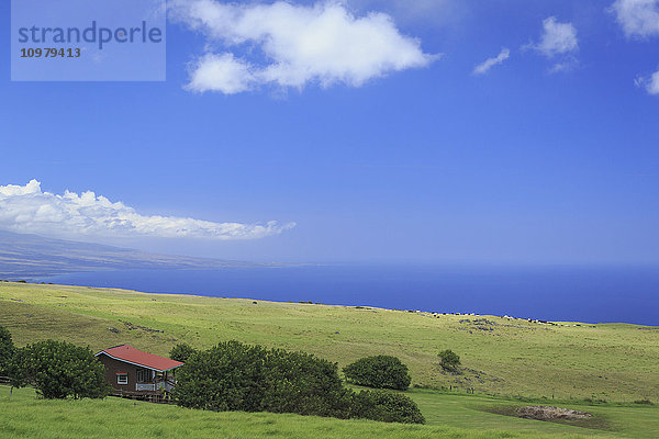 Rancher's Cabin beaufsichtigt gemischte Rinderweiden in North Kohala mit Blick auf die Küste von Kona; Insel Hawaii  Hawaii  Vereinigte Staaten von Amerika'.