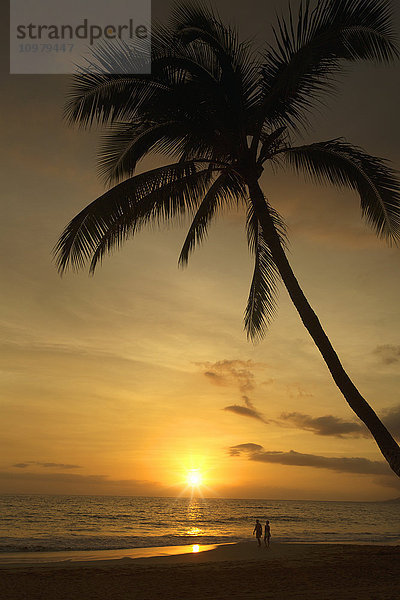 Paar  das bei Sonnenuntergang am Strand spazieren geht; Kihei  Maui  Hawaii  Vereinigte Staaten von Amerika'.