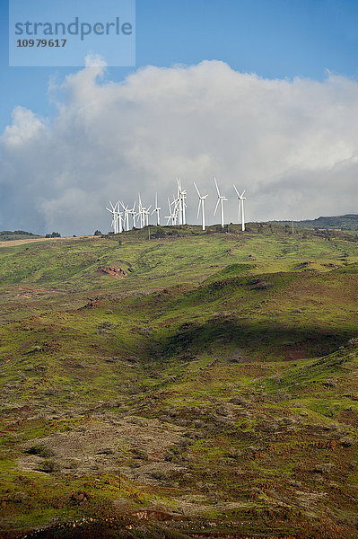 Windmühlen drehen sich auf einem Hügel oberhalb der Küste; Maui  Hawaii  Vereinigte Staaten von Amerika'.