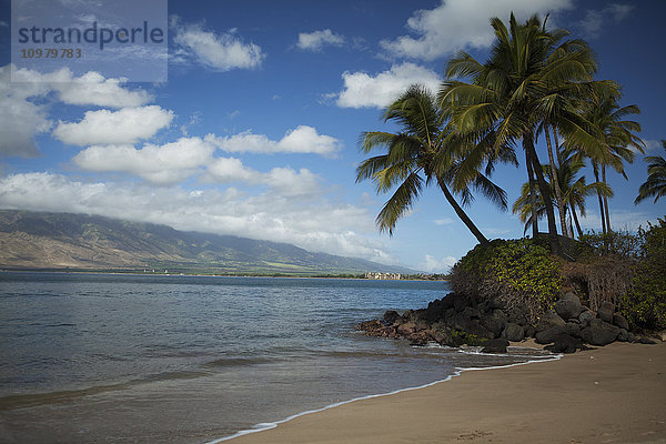 Kokosnusspalmen  mit Maalia und West Maui Mountains im Hintergrund  Kihei Canoe Club Beach; Kihei  Maui  Hawaii  Vereinigte Staaten von Amerika'.