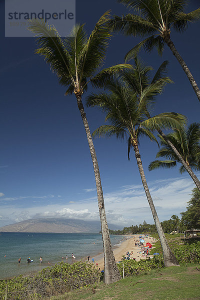 Sonnenbadende  Schwimmer  Kokospalmen  Kama'ole II & III Beach Park  (in der Ferne) West Maui Mountains; Kihei  Maui  Hawaii  Vereinigte Staaten von Amerika'.