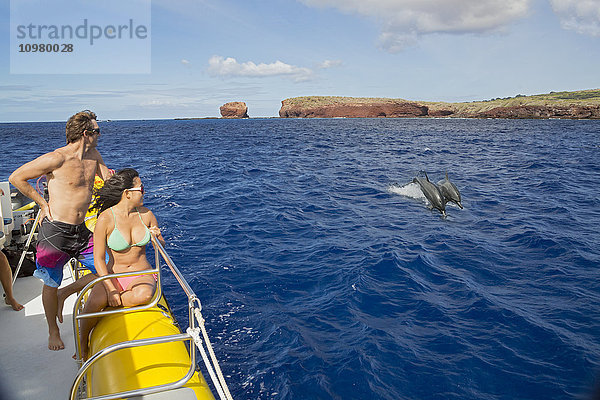 Ein Paar sieht zu  wie zwei Spinnerdelfine (Stenella longirostris) vom Puu Pehe oder Sweetheart Rock vor der Insel Lanai in die Luft springen; Lanai  Hawaii  Vereinigte Staaten von Amerika'.