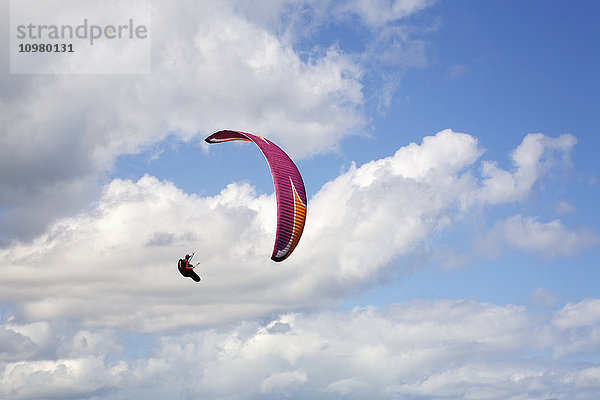 Paragliding am Makapuu Point; Oahu  Hawaii  Vereinigte Staaten von Amerika'.