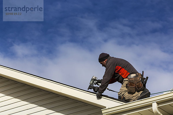 Männlicher Dachdecker mit Druckluftnagler auf dem Dach nagelt neue Schindeln mit Wolken und blauem Himmel; Calgary  Alberta  Kanada'.
