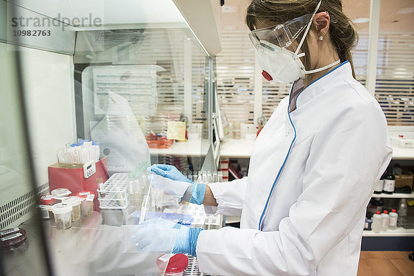 Laborant im analytischen Labor für die Züchtung von Zellen in der Petrischale