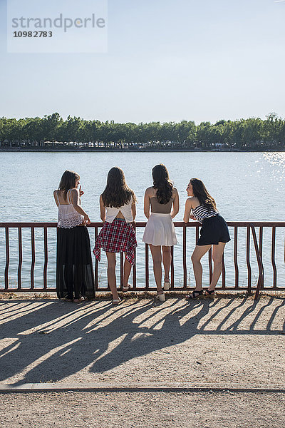 Rückansicht von vier Freunden  die im Sonnenlicht vor dem Wasser stehen.