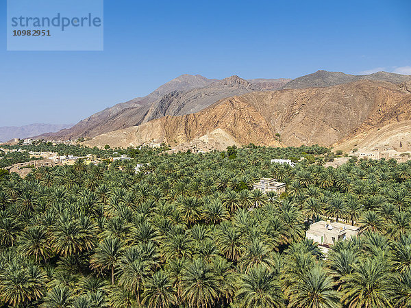 Oman  Ad-Dhakiliya  Al Hajar al Gharbi Gebirge  Bergdorf Birkat al Mawz