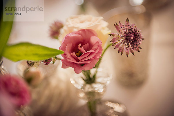 Tischdekoration  Rose  Blumen in Vase