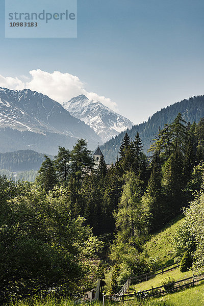 Schweiz  Graubünden  Schweizer Alpen  Parc Ela  Blick auf die Plessur Alpen im Frühling