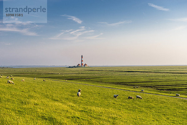 Deutschland  Nordfriesland  Westerheversand Leuchtturm mit Schafen auf der Wiese
