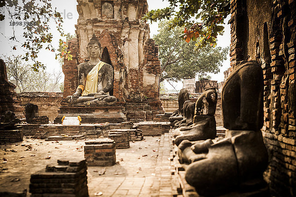 Thailand  Ayutthaya  Wat Mahathat im Historischen Park