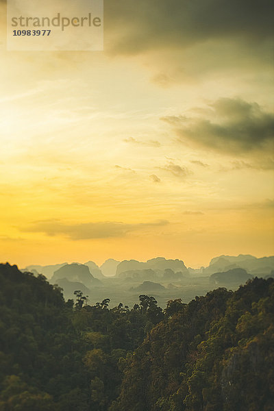 Thailand  Blick auf den Dschungel bei Sonnenuntergang