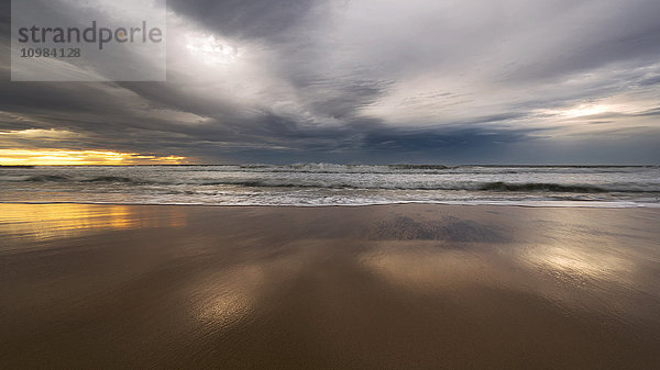 Australien  New South Wales  Sydney  Strand bei Sonnenuntergang