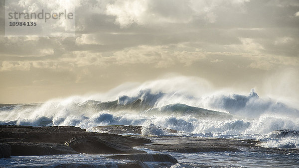 Australien  New South Wales  Sydney  Tasmanische See  Wellen  Surfen
