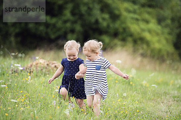 Zwei kleine Schwestern  die Hand in Hand auf einer Wiese rennen