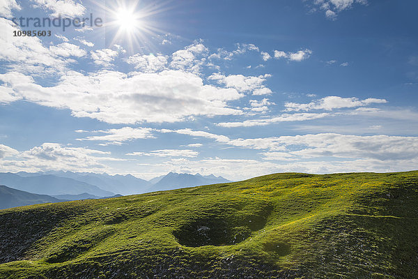 Österreich  Tirol  Alpweide gegen die Sonne