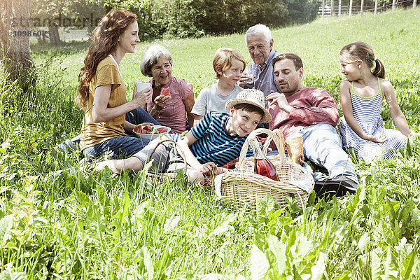 Großfamilie beim Picknick auf der Wiese