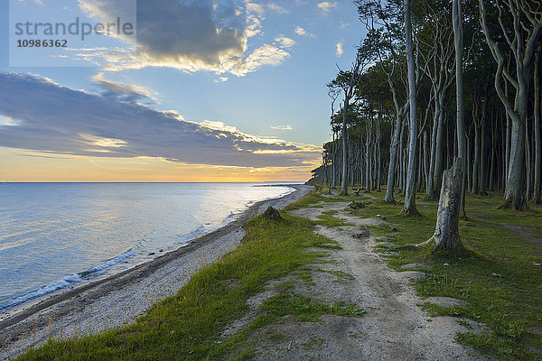 Deutschland  Nienhagen  Gespensterwald  Strand und Sonnenaufgang