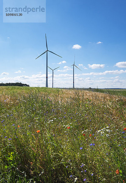 Deutschland  Mittelfranken  Windpark bei Großhabersdorf