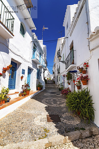 Spanien  Andalusien  Frigiliana  Gasse