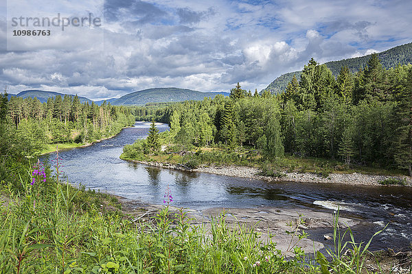 Norwegen  Südnorwegen  Telemark  Notodden  Heddal  Heddol-Fluss