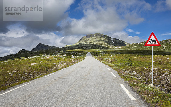 Norwegen  Südnorwegen  Telemark  Hjartdal  leere Straße