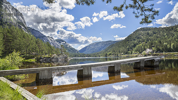 Norwegen  Südnorwegen  Telemark  Fyresdal  See und Holzsteg
