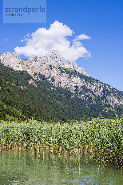 Österreich  Tirol  Tannheimer Tal  Haldensee