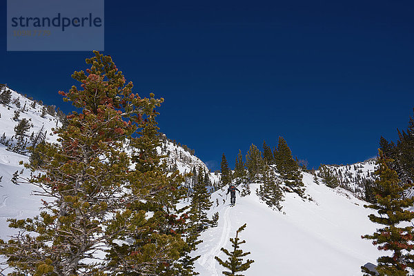 Berglandschaft in Salt Lake City  USA