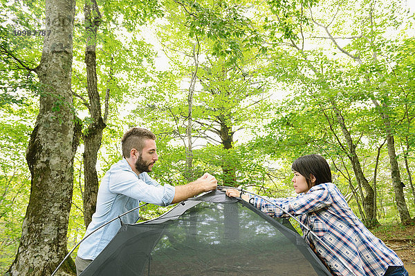 Freunde bauen ein Zelt auf einem Campingplatz auf