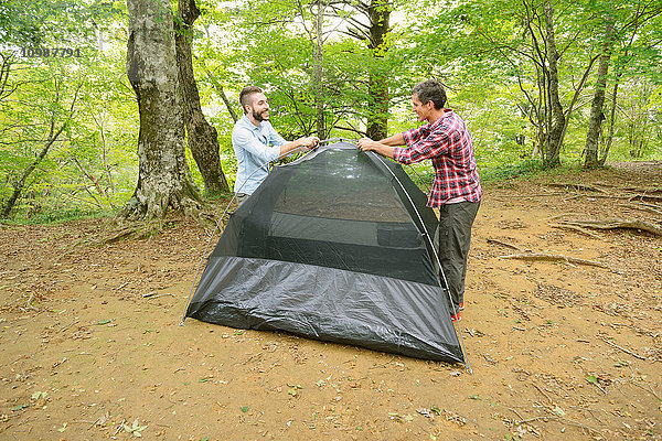 Freunde bauen ein Zelt auf einem Campingplatz auf
