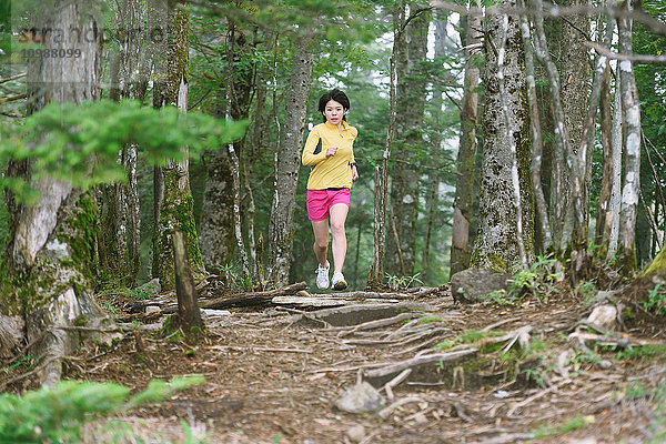 Junge Japanerin beim Trailrunning am Berg Daibosatsu  Präfektur Yamanashi  Japan