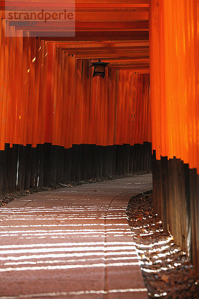 Fushimi-Inari-Schrein  Kyoto  Japan