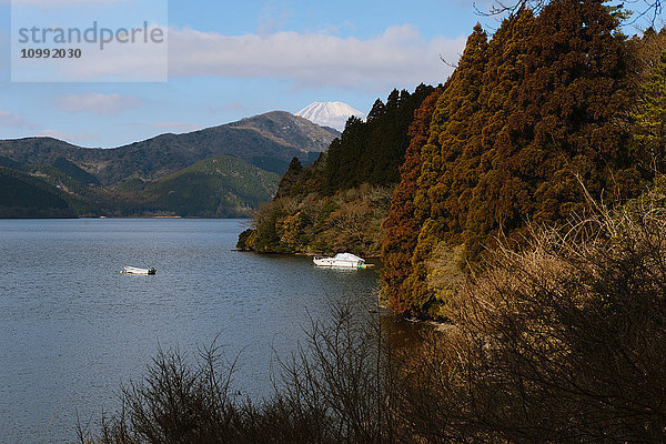 Blick auf den Berg Fuji vom Ashi-See am Wintermorgen  Hakone  Japan