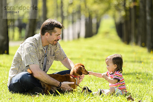 Kind und Vater spielen mit Hund in einem Stadtpark