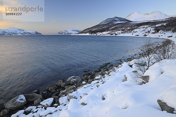 Küste im Winter  Sorfjorden  Vasstrand  Troms  Norwegen