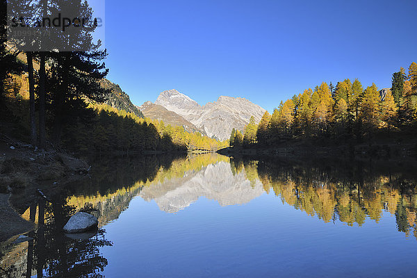 Lai da Palpuogna im Herbst  Albulapass  Bergun  Graubünden  Schweiz