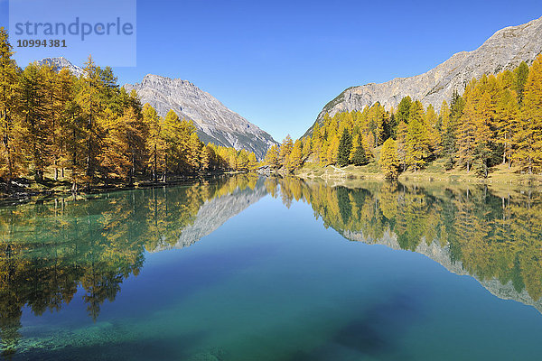 Spiegelung der Berge im See  Lai da Palpuogna  Albulapass  Graubünden  Schweiz