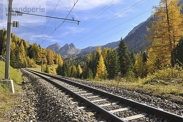 Eisenbahnschienen im Herbst  Preda  Albulapass  Graubünden  Schweiz