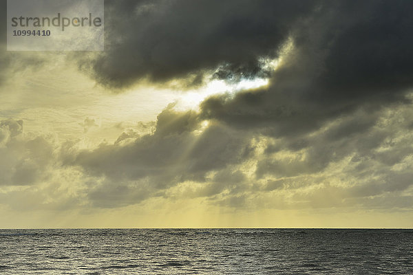 Ozean mit Sturmwolken bei Sonnenaufgang  Daintree Rainforest  Cape Tribulation  Queensland  Australien