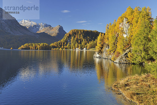 Silsersee im Herbst  Engadin  Kanton Graubünden  Schweiz