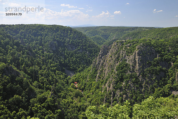 Bode-Schlucht  Thale  Landkreis Harz  Sachsen-Anhalt  Deutschland