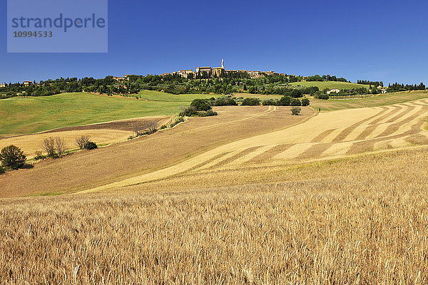 Weizenfeld im Sommer mit einer historischen Stadt Pienza  Provinz Siena  Toskana  Italien