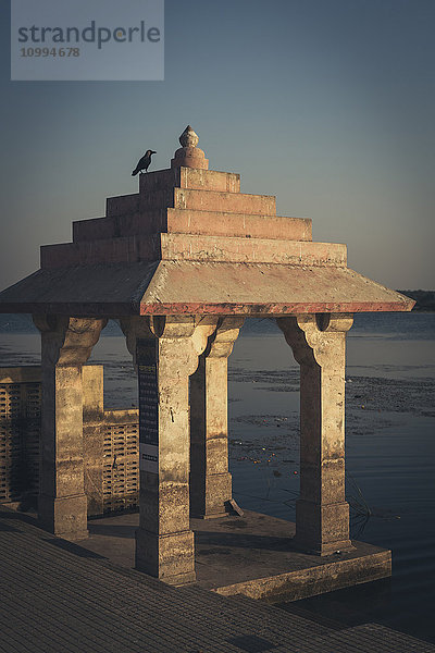 Tauben auf dem Dach des Hindu Burning Ghat  Somnath-Tempel  Triveni Mahasangam  Veraval  Gujarat  Indien