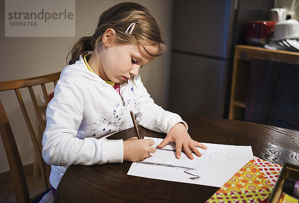 5 Jahre altes Mädchen sitzt am Tisch und zeichnet mit einem Bleistift  Deutschland